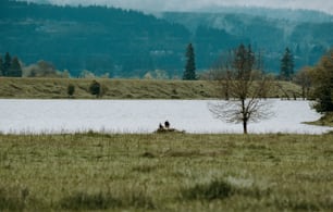 a couple of people riding on the back of a motorcycle