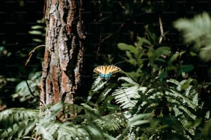 a yellow and blue butterfly sitting on top of a green plant