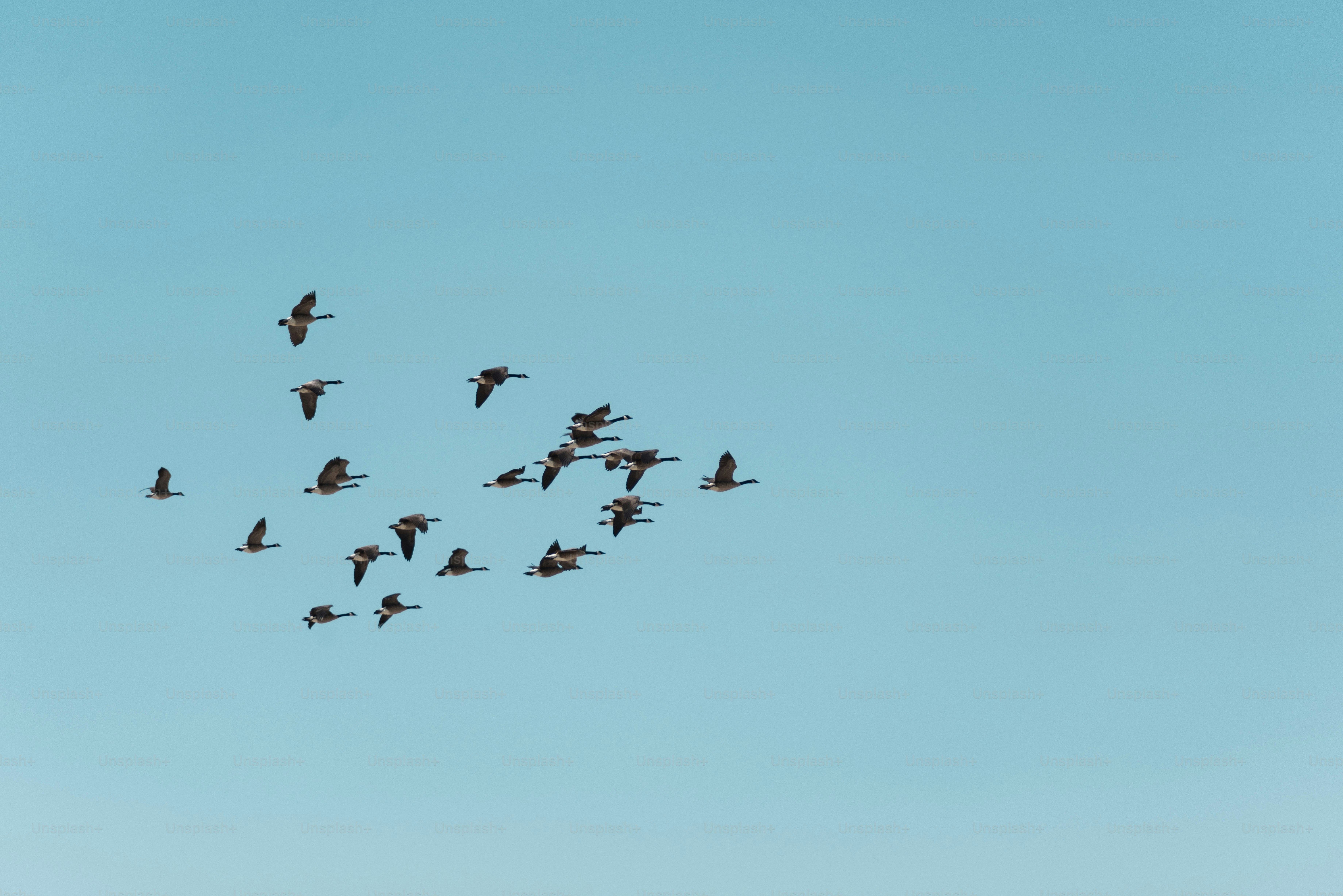 Migrating from NextJS to Astro