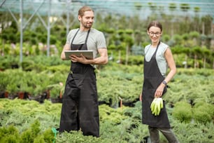 Coppia di operai in uniforme che utilizzano una tavoletta digitale che lavorano con le piante nella serra del negozio di piante
