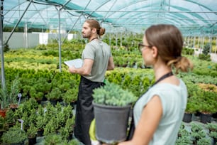 Pareja de trabajadores cuidando plantas supervisando el proceso de crecimiento en el invernadero