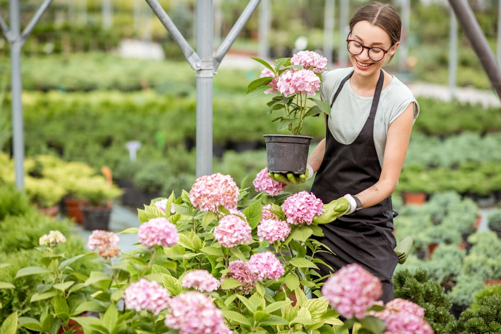 Mujer joven cuidando flores trabajando en el invernadero de la tienda de plantas