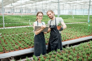 Pareja de trabajadores trabajando con tableta digital supervisando el cultivo de plantas en el invernadero de la producción de plantas