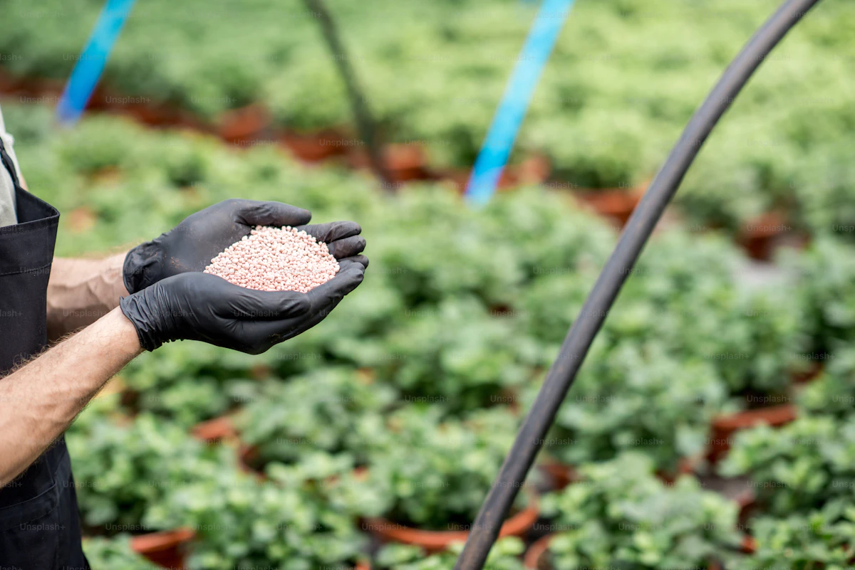 Natural fertilizer