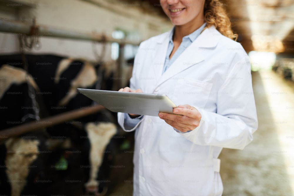 Jeune professionnel avec tablette tactile lisant des données en ligne sur les vaches laitières et le développement de la ferme en marmite