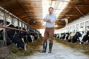 Young man with his arms crossed on ches standing by stable of dairy cows in kettlefarm