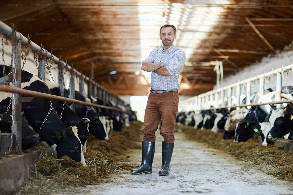 Jeune homme avec ses bras croisés sur ches debout près de l’étable des vaches laitières dans la ferme de kettle