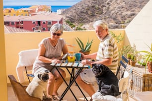 Paar gealterte Herren und Dame trinken zusammen Fruchtsaft auf der Dachterrasse mit zwei lustigen Mopshund im Sonnenlicht. Erstaunlicher Meerblick für tolles Ruhestandskonzept