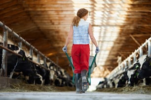 Retrato de la vista trasera de la mujer joven que empuja el carro que camina a través del establo de la granja, espacio de copia