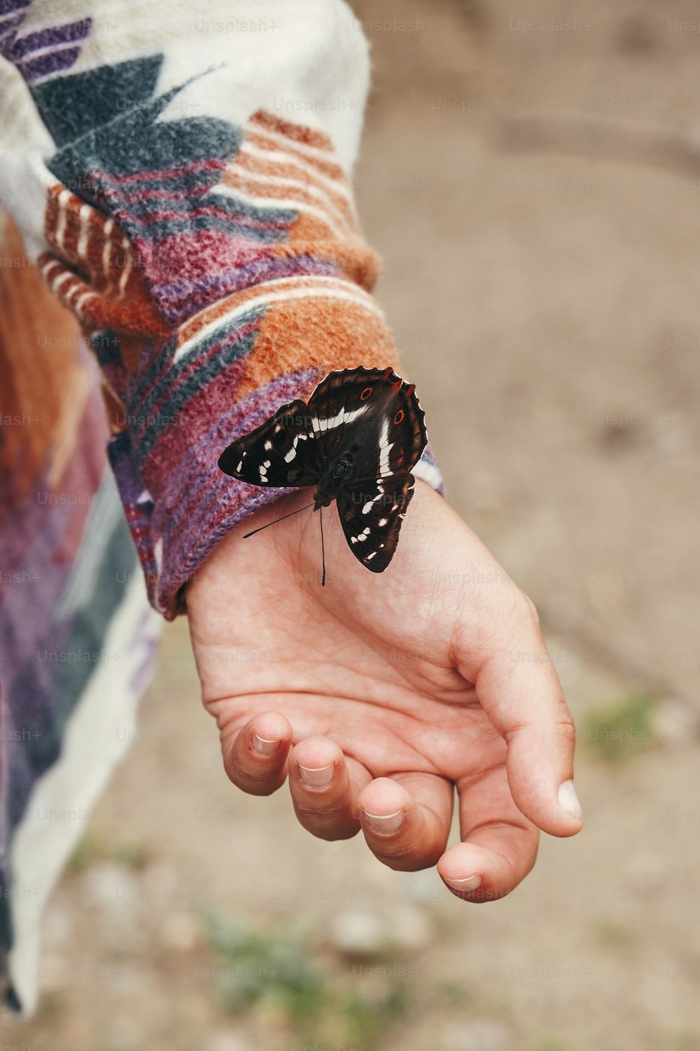 bella farfalla sulla mano della ragazza. donna felice alla moda che tiene l'iris di apatura sulle dita nella foresta in montagna. concetto di viaggio e voglia di viaggiare. spazio per il testo. Momento incredibile. insetti in Ucraina