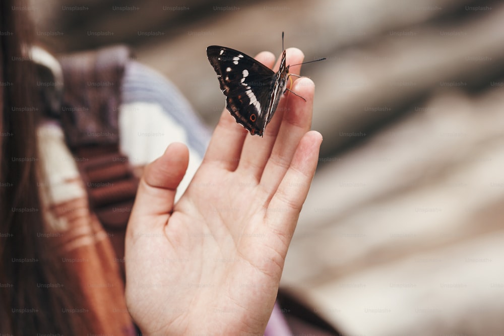 beautiful butterfly on girl hand. stylish happy woman holding apatura iris on fingers in forest in mountains. travel and wanderlust concept. space for text. amazing moment. insects in Ukraine