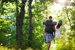 Back view of young couple with backpacks walking along trees in natural environment