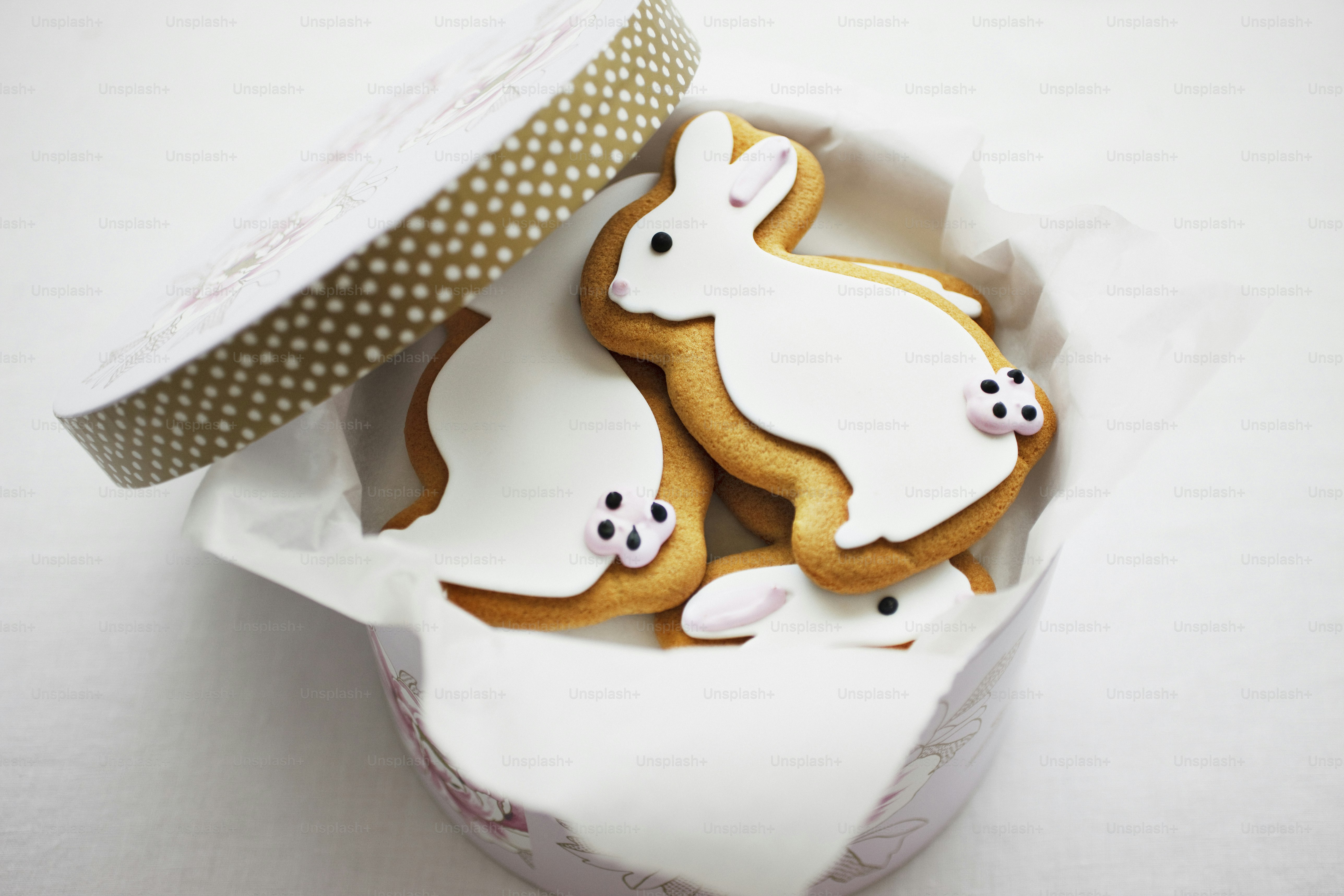 A couple of cookies that are in a box photo – Cookie Image on Unsplash