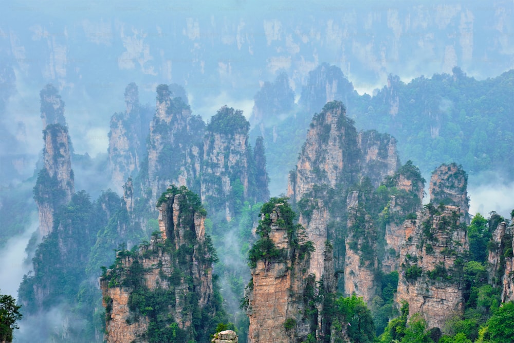 Famosa attrazione turistica della Cina - Zhangjiajie pilastri di pietra montagne della scogliera in nuvole di nebbia a Wulingyuan, Hunan, Cina