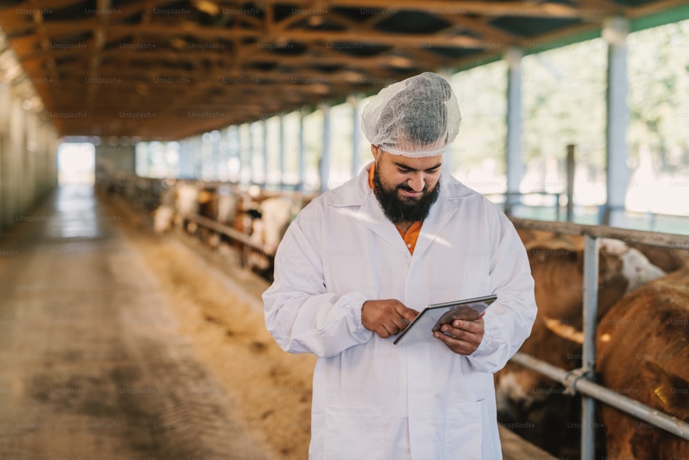 Veterinarian checking cows at cow farm.