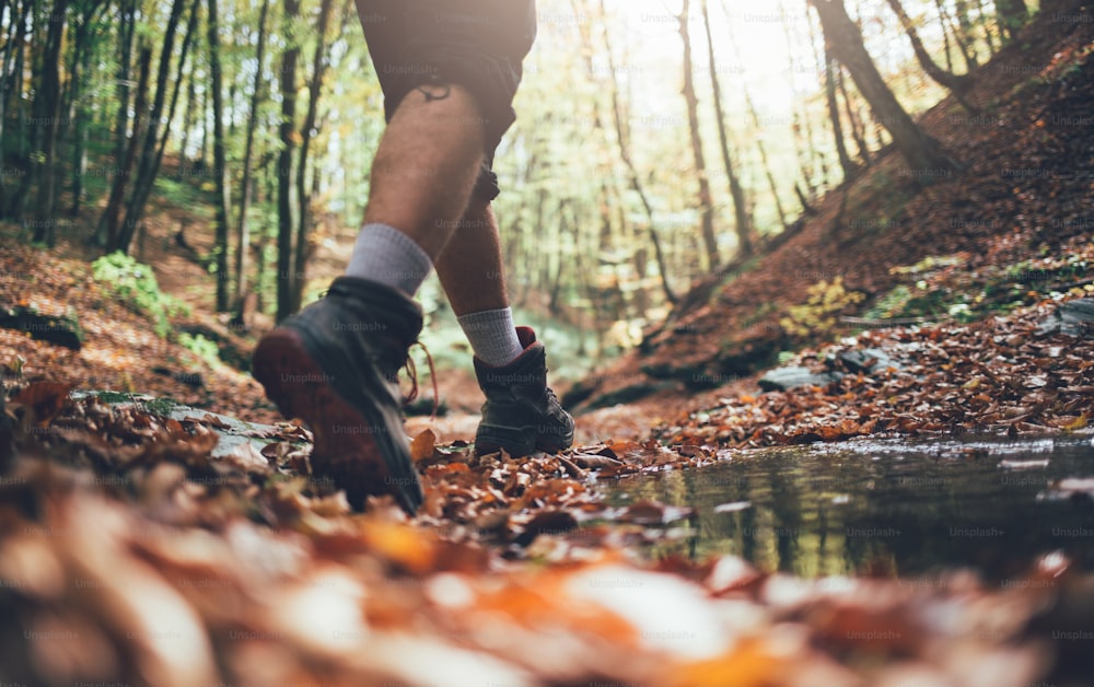 Close up of hiker boots crossing mountain forest stream in autumn. Low angle view of hiker walking, copy space.