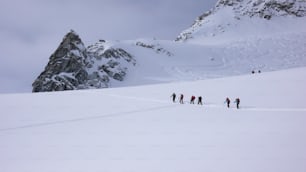 A group of backcountry skiers climb and hike over a large glacier in the Swiss Alps near Disentis on their way to a remote mountain peak