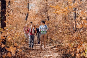 Caminhantes explorando a floresta no outono. Árvores e folhas caídas ao redor.
