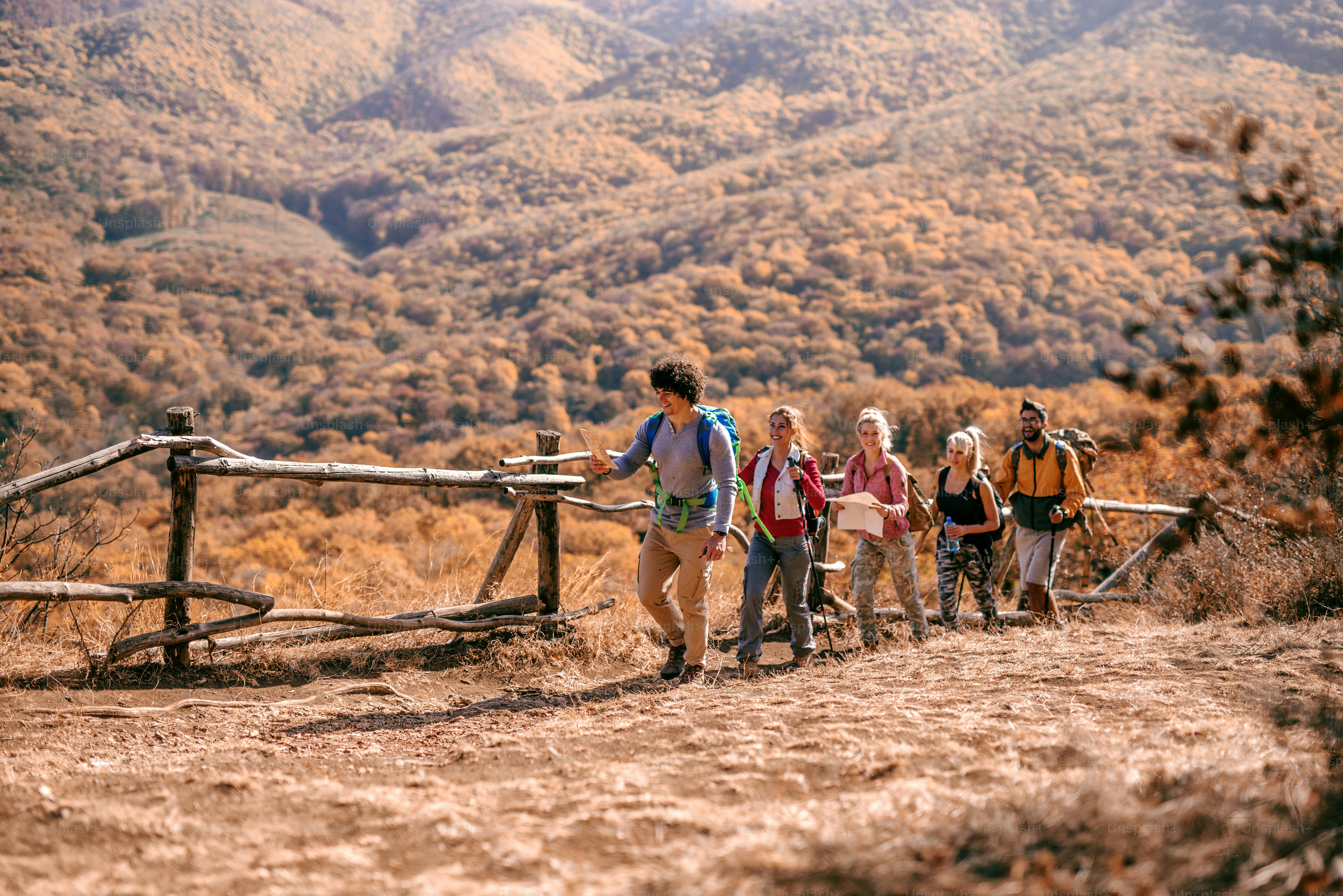Grupo de excursionistas caminando en fila y explorando la naturaleza ...