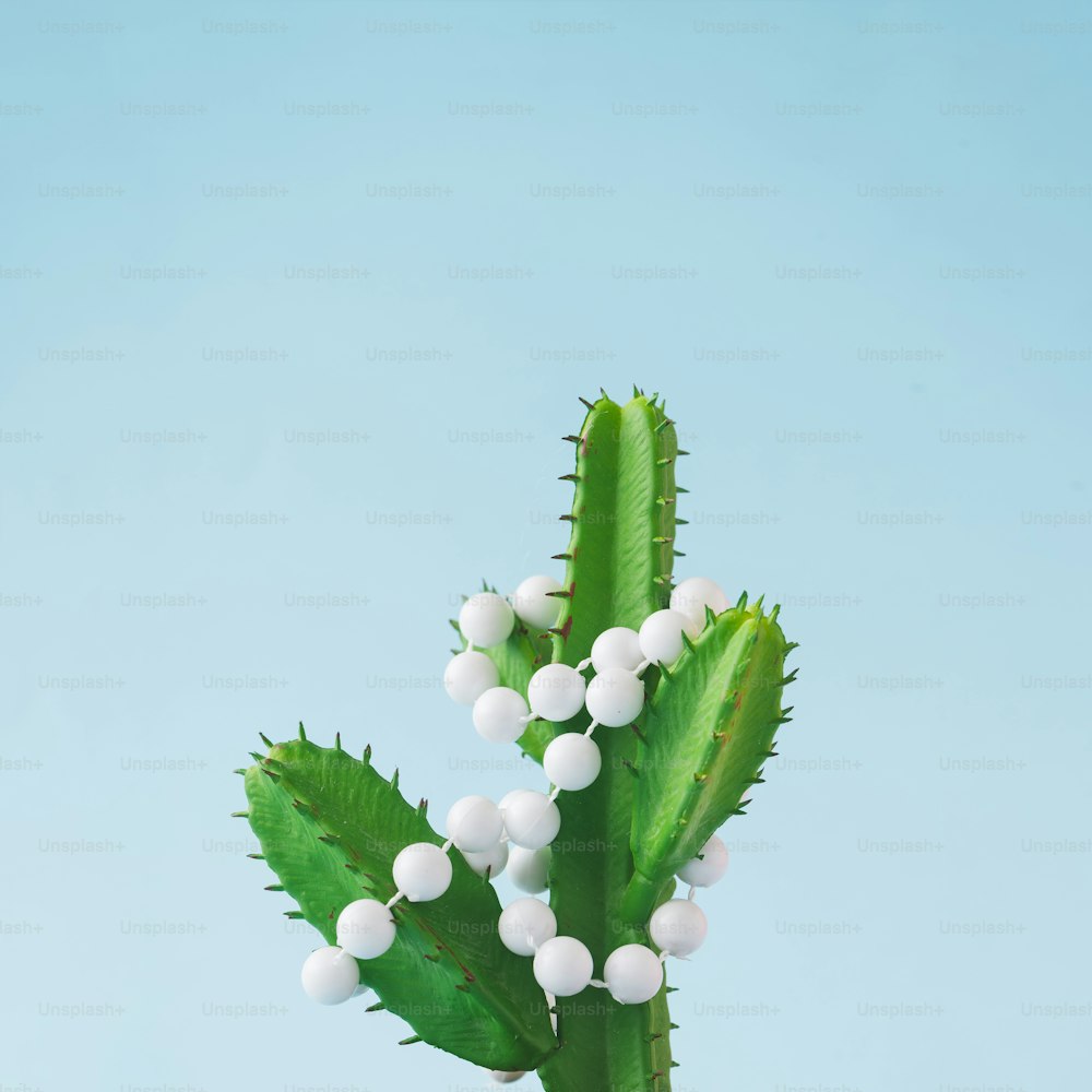 Cactus with Christmas tree decoration.