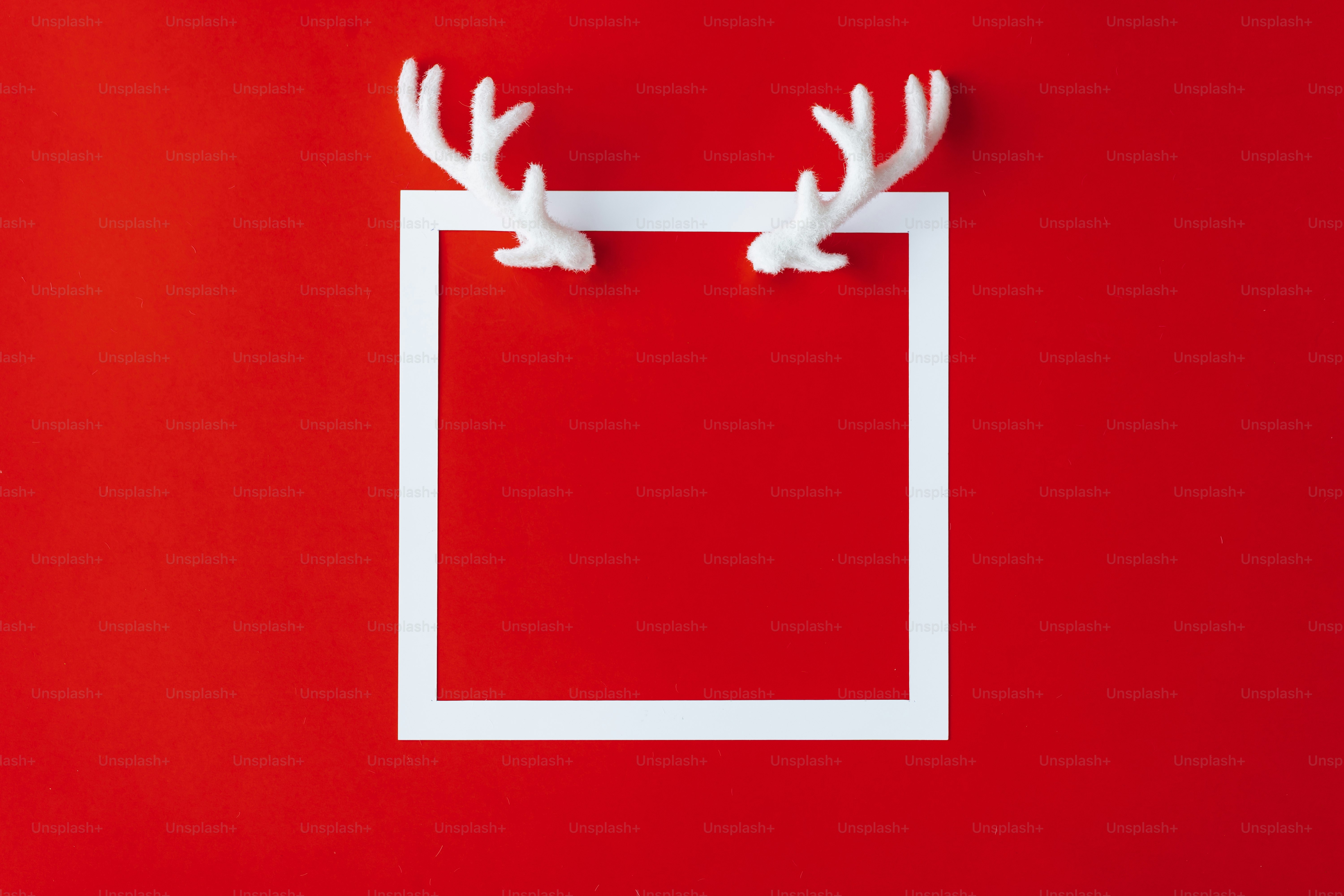 Reindeer antlers with white frame on red background. photo – Art Image