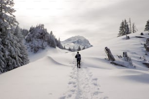 escursionista con racchette da neve che camminano nelle Alpi della Svizzera in una natura incontaminata e idilliaca