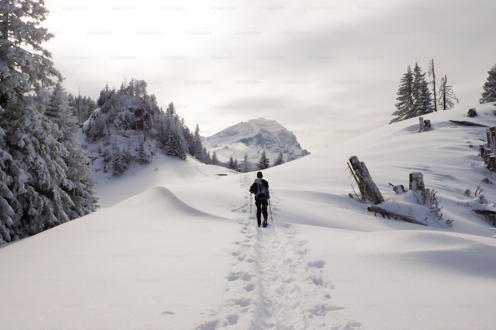 스노우슈즈를 신고 스위스 알프스에서 자연 그대로의 목가적인 자연 야생에서 하이킹을 하는 여성 등산객