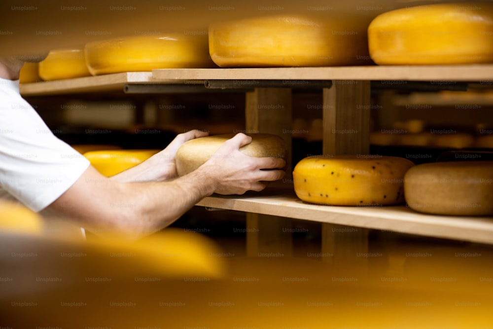 Trabalhador que leva roda de queijo no armazenamento durante o processo de envelhecimento do queijo. Vista de perto sem rosto