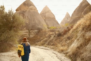 Travel. Woman Traveling At Stone Valley, Landscape Of Love Valley, Famous Turkey Landmark. High Resolution