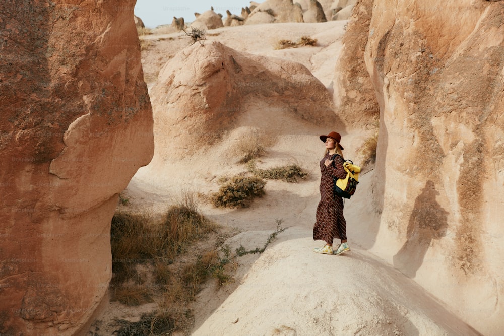 Woman Traveling, Exploring Nature Of Rocks Valley. Female Traveler Travel At Desert Canyon. High Resolution