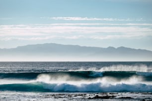 Athlète surfeur surfant sur la grosse vague faisant une activité sportive dans l’océan - danger et adrénaline - mode de vie heureux et naturel pour les milléniaux alternatifs