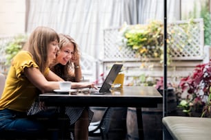 Jeunes femmes élégantes ayant une réunion amicale avec des tasses de café tout en utilisant l’ordinateur portable