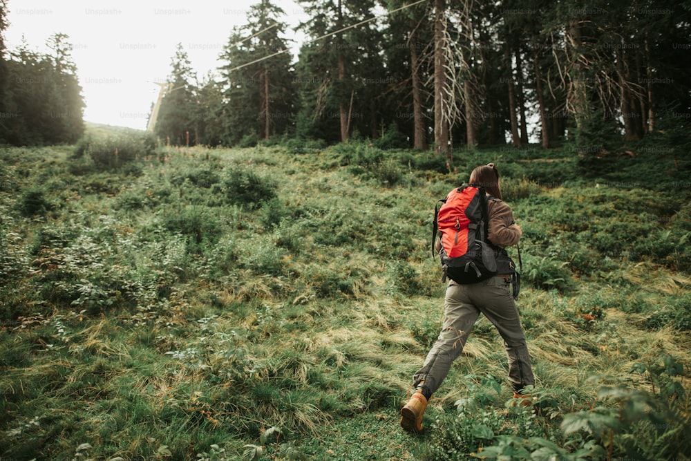 On my own. Full length back view portrait of brave girl with backpack making her way to coniferous wood