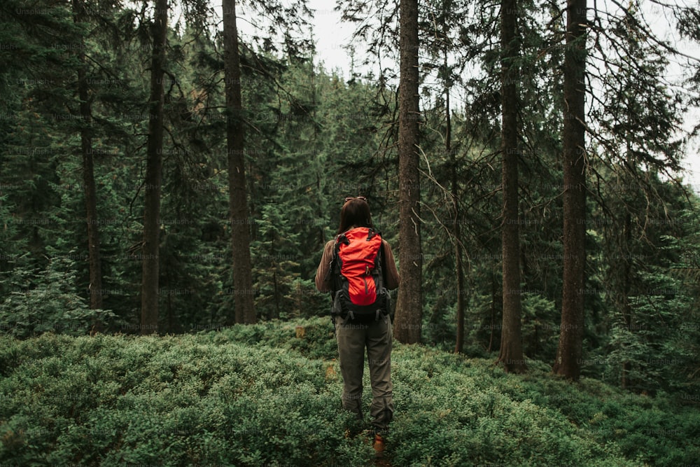 Je suis libre. Portrait en pied de vue arrière d’une fille fougueuse avec un sac à dos voyageant seule dans les bois