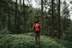 Je suis libre. Portrait en pied de vue arrière d’une fille fougueuse avec un sac à dos voyageant seule dans les bois