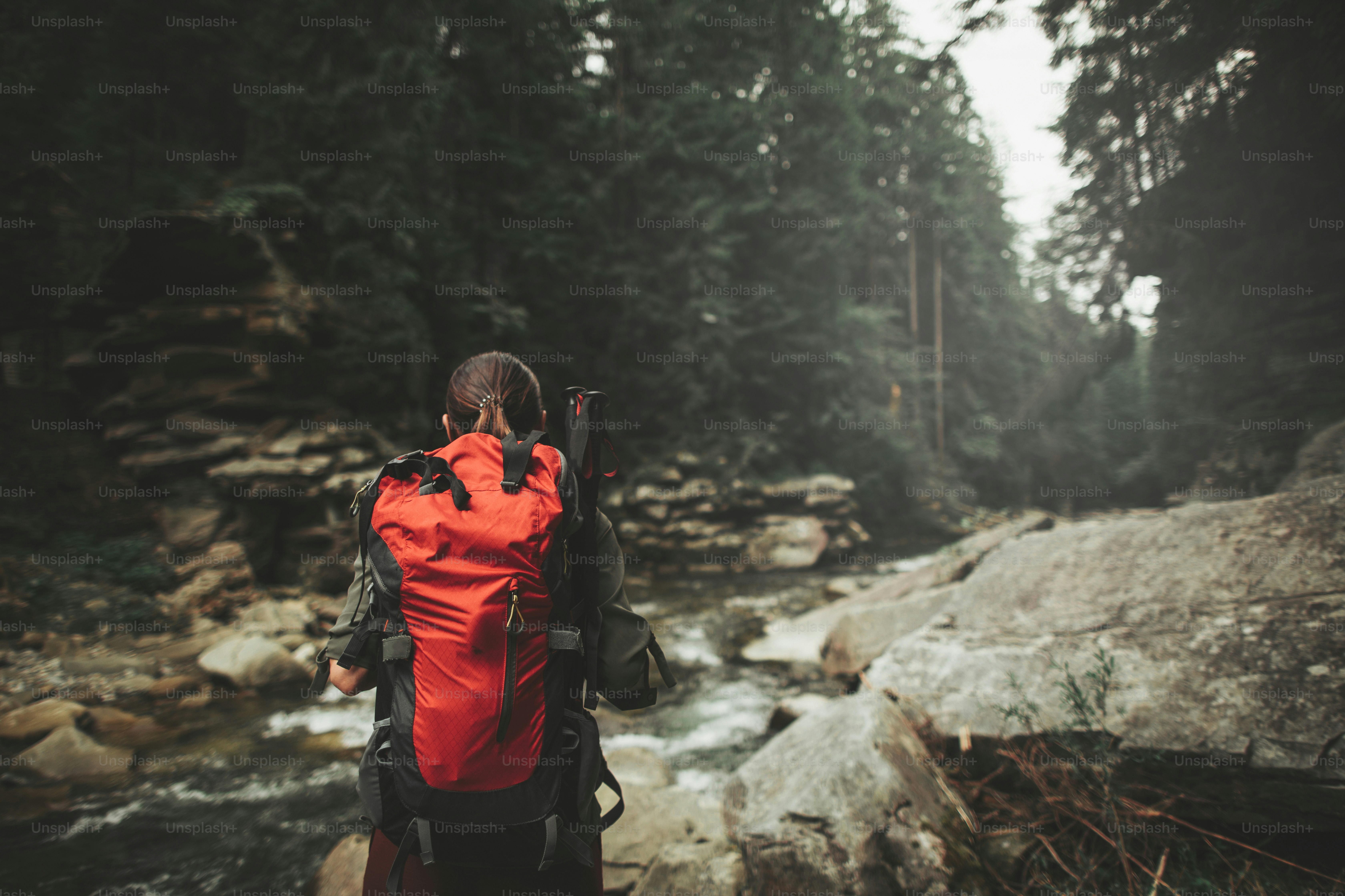Vista panoramica di una foresta di montagna con una viaggiatrice che si gode questa vista