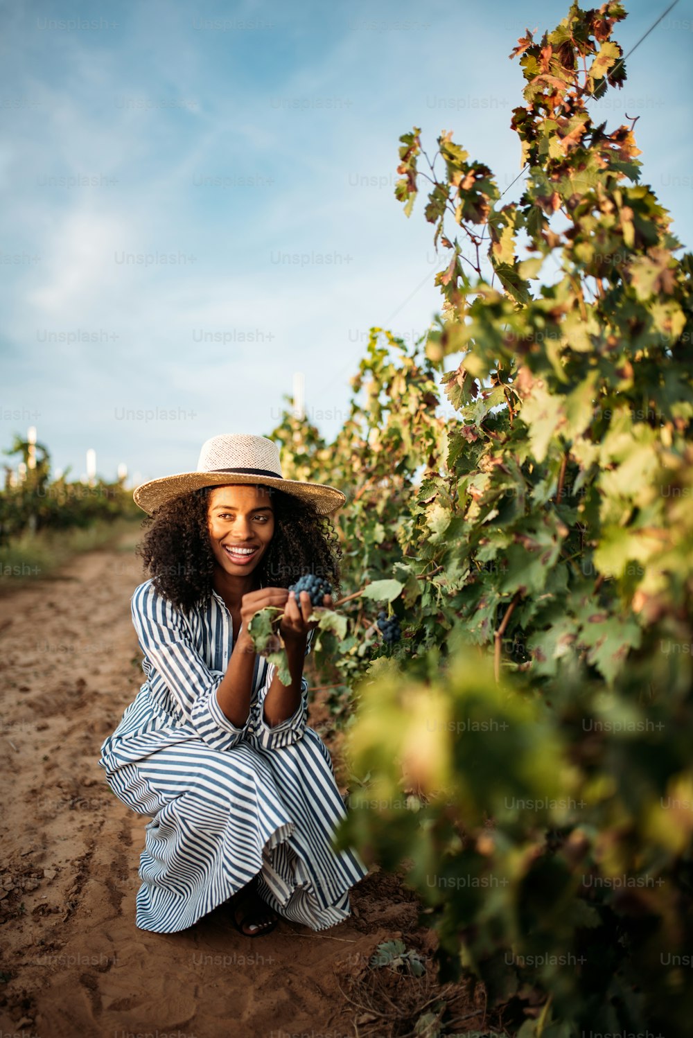 Mulher negra jovem comendo uma uva em um vinhedo
