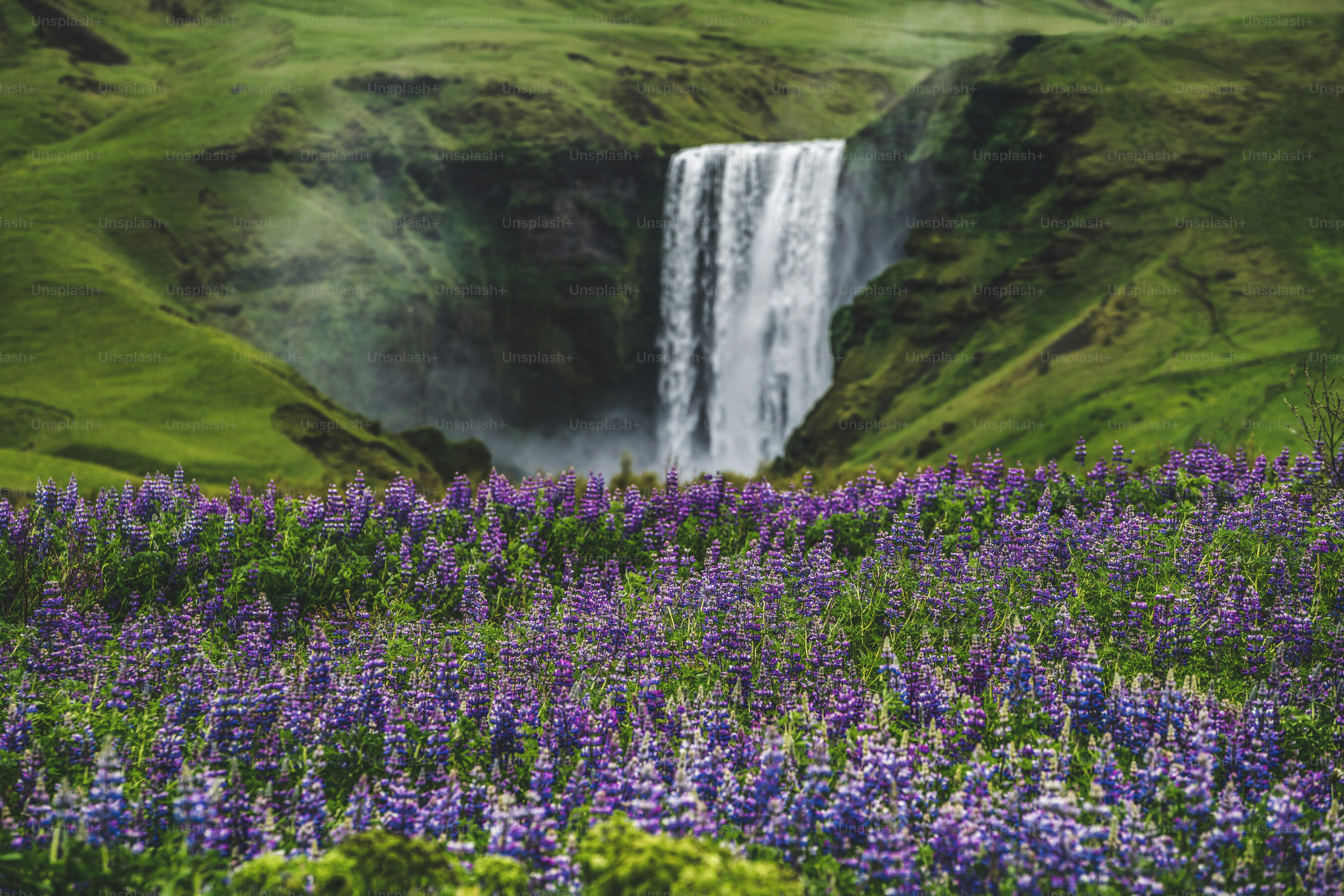 夏のアイスランドの田園地帯にある雄大なスコウガフォスの滝の美しい景色。スコウガフォスの滝は、アイスランドとヨーロッパの最も有名な自然のランドマークであり、観光地です。