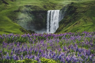 여름에 아이슬란드 시골의 장엄한 스코가 포스 폭포의 아름다운 풍경. 스코가포스 폭포는 아이슬란드와 유럽의 가장 유명한 자연 랜드마크이자 관광지입니다.