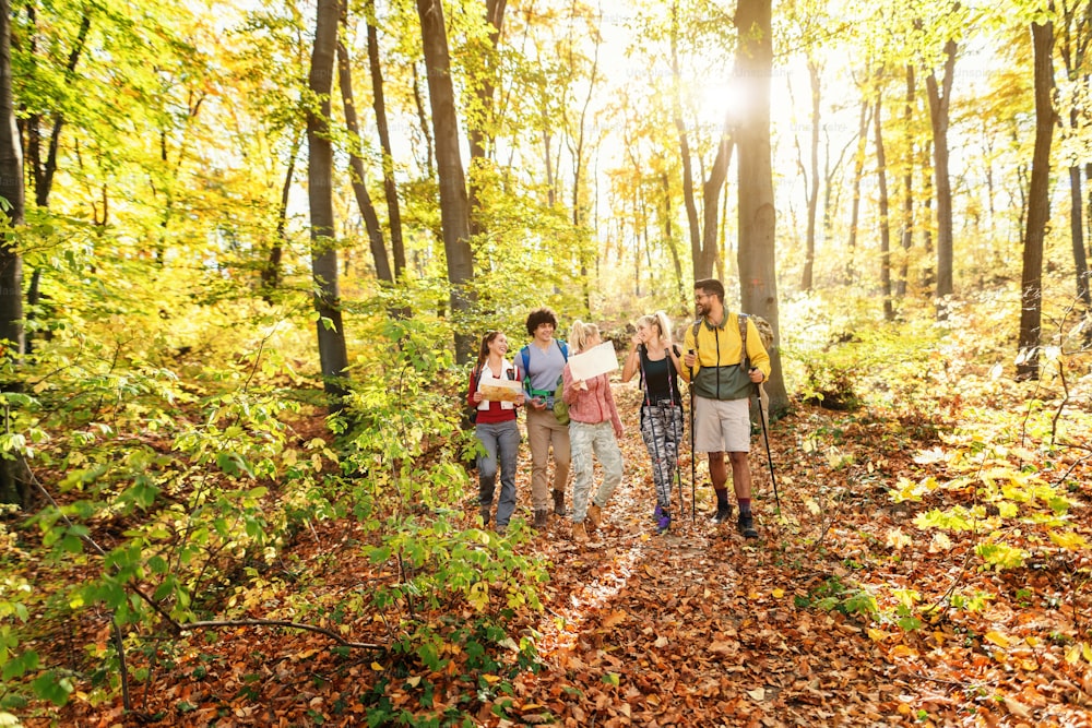 Smiling group of hikers walking through forest at autumn and holding maps. Adventure concept.