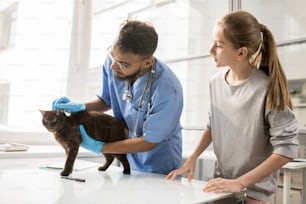 제복을 입고 장갑을 낀 젊은 전문 수의사가 건강 검진 중 고양이의 귀를 확인하고 있다