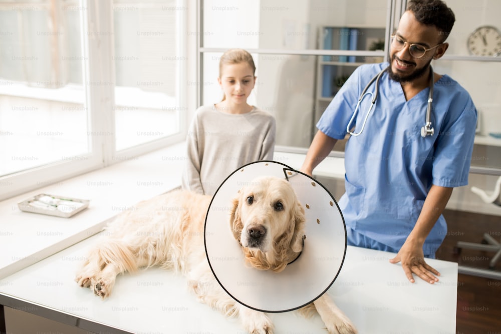 Perro labrador enfermo con embudo en el cuello acostado en la mesa médica frente a la cámara con un veterinario joven detrás