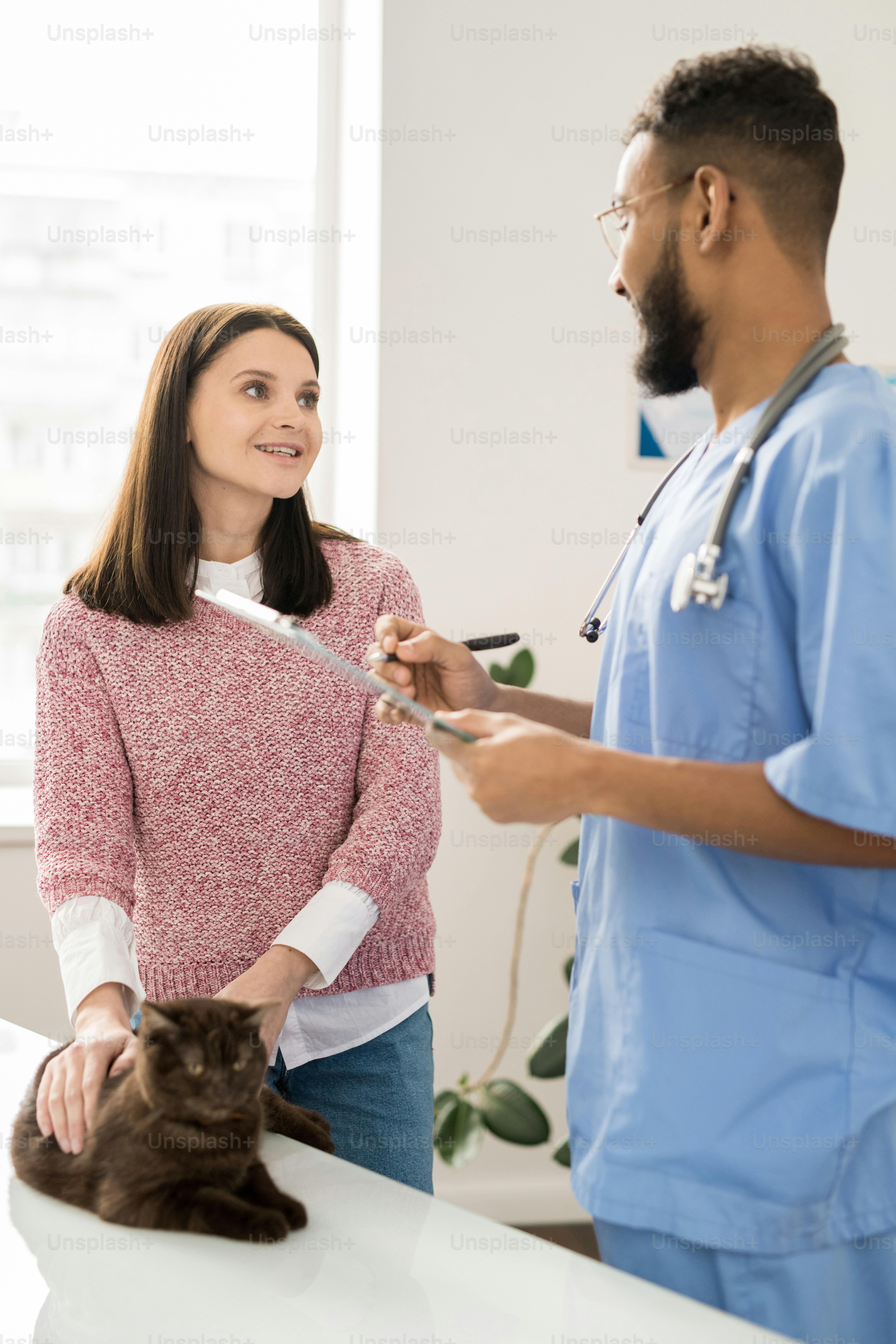 Young woman petting cat and discussing ways of medical treatment for her pet with professional veterinary clinician