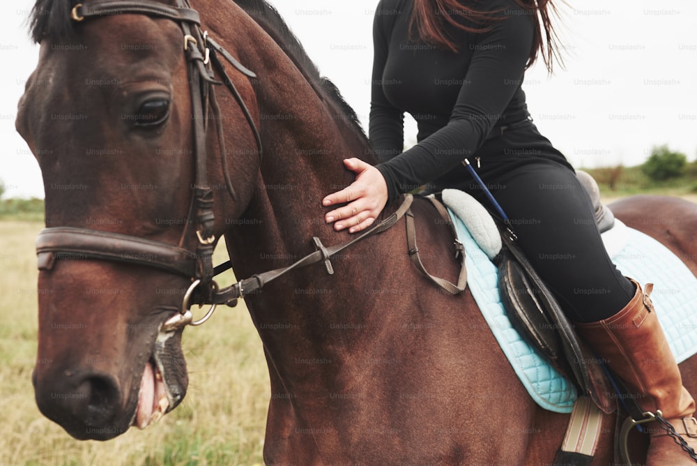Closeup picture of young beautiful woman rides a horse.