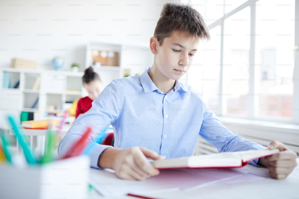 Serious schoolboy concentrating on reading book at lesson while preparing for individual assignment