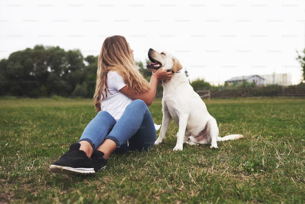 야외에서 개를 가진 매력적인 젊은 여성. 래브라도 리트리버와 함께 푸른 잔디에 웃는다.