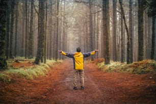 Homem com equipamento de trekking em pé no meio de uma estrada desfrutando de liberdade e estilo de vida de aventura de férias alternativo - floresta e madeira natureza ao ar livre lugar cênico com árvores altas
