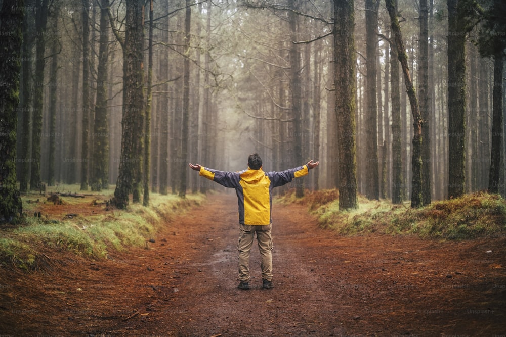 Man with trekking equipment standing in the middle of a road enjoying freedom and alternative vacation adventure lifestyle - forest and wood outdoor nature scenic place with high trees