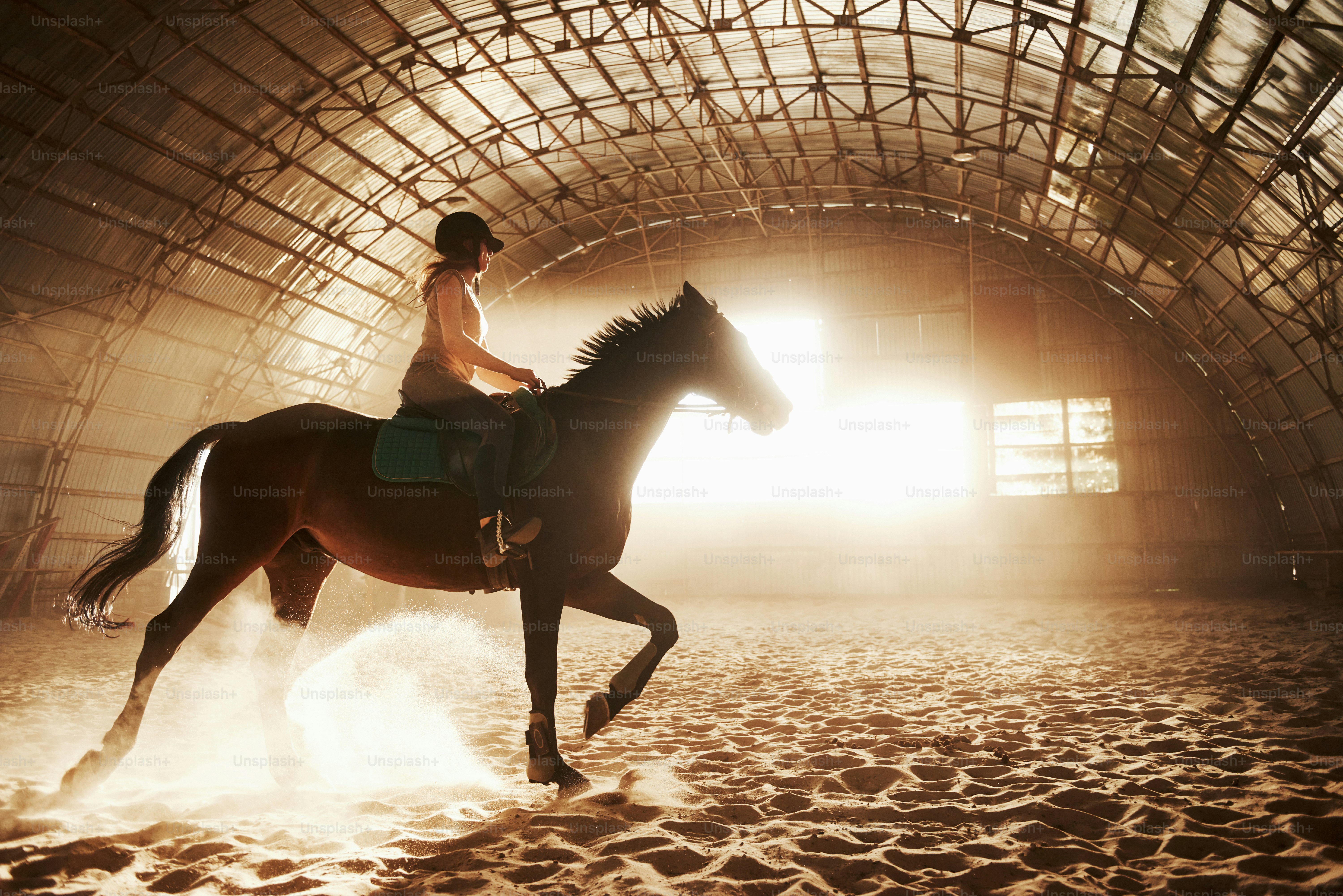Majestätisches Bild der Pferdesilhouette mit Reiter auf Sonnenuntergangshintergrund. Das Jockeymädchen auf dem Rücken eines Hengstes reitet in einem Hangar auf einem Bauernhof und springt über die Querlatte. Das Konzept des Reitens.