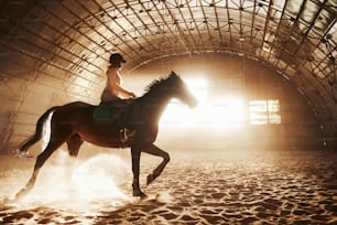 Majestic image of horse horse silhouette with rider on sunset background. The girl jockey on the back of a stallion rides in a hangar on a farm and jumps over the crossbar. The concept of riding.